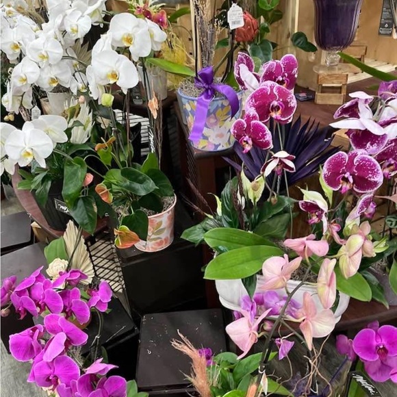 #4 Danny and Nicole Multi-colored Flare Long Dress Size: 18W - Picture 7 of 7